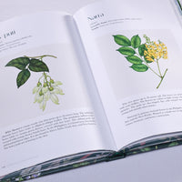 Flowers of the Philippines: A Selection of Botanical Illustrations