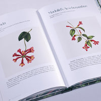 Flowers of the Philippines: A Selection of Botanical Illustrations